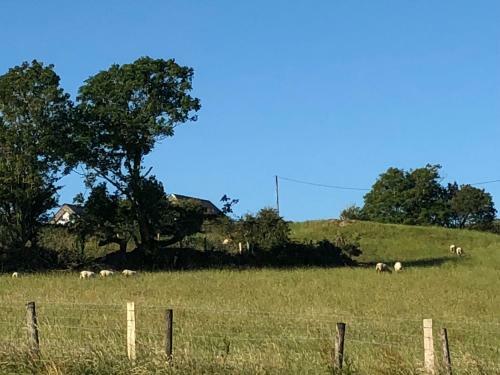 Tilly's Cottage