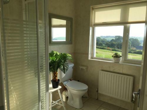 Follies Suites Ballyvoile