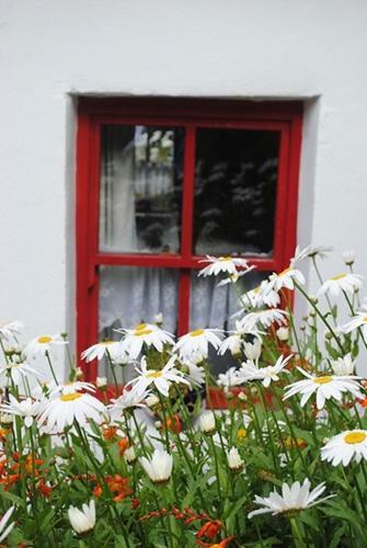 Minie's Cottage