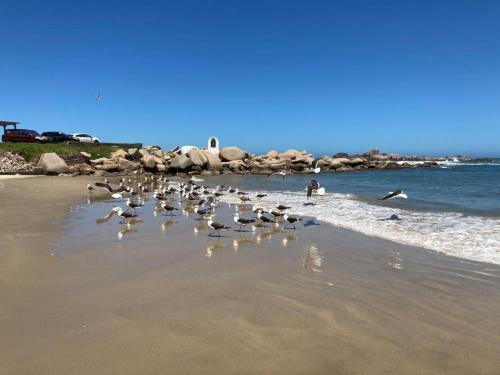 Apartamento Apto Com Vista Para O Mar E O Farol - Loft 323