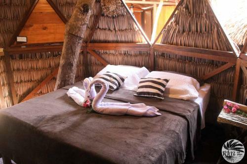 Hotel Raiz Kite Cabana