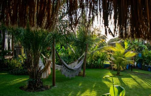 Bed & Breakfast Barra Su�tes
