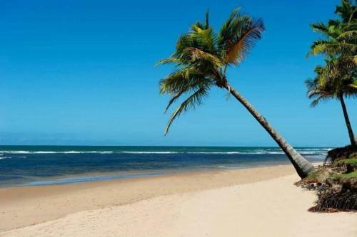 Flat Conchas E Corais - Village Para�so