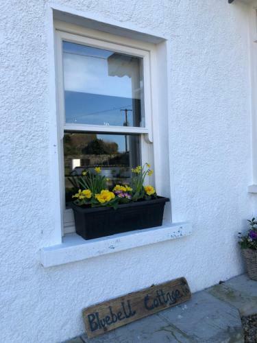 Bluebell Cottage