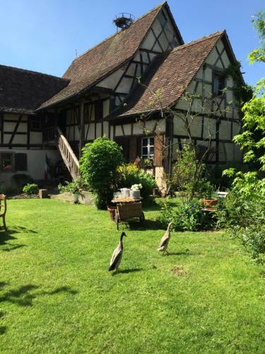 La Ferme De Marie