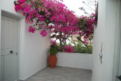 Apartamento Kelly's