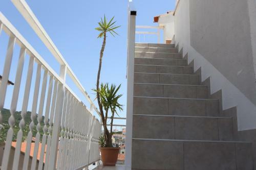 Hostal Tanya-apartments And Rooms