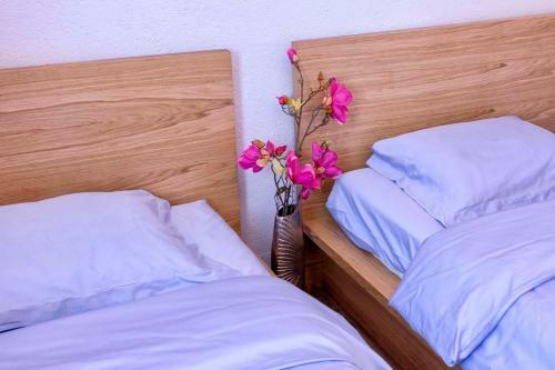 Luxury Villa Galapagos Hvar Town