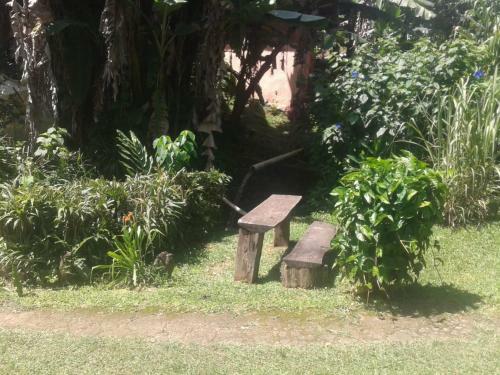 S�tio Quinh�o Genciana