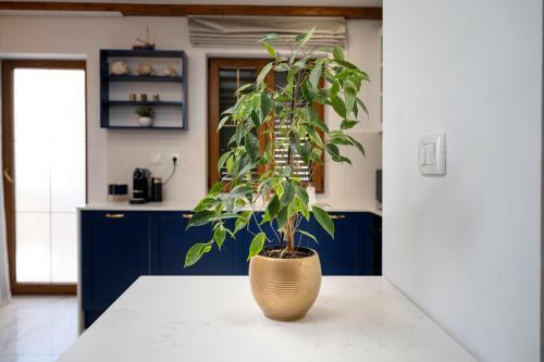 Apartamento Downtown Escape - Hvar Villa