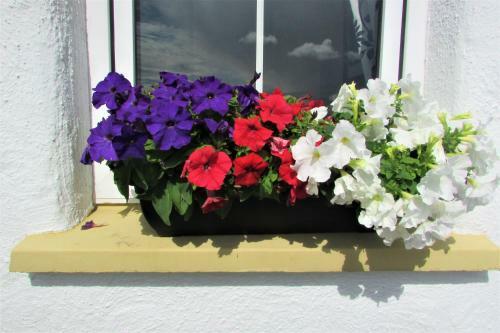 Breacan Cottage B&B