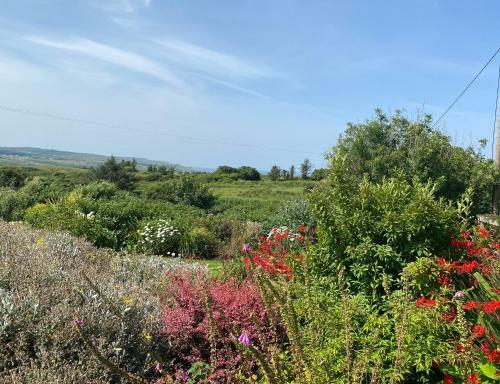 Apartamento Atlantic Garden Lodge,art Studio &garden