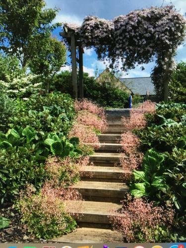 Apartamento Atlantic Garden Lodge,art Studio &garden