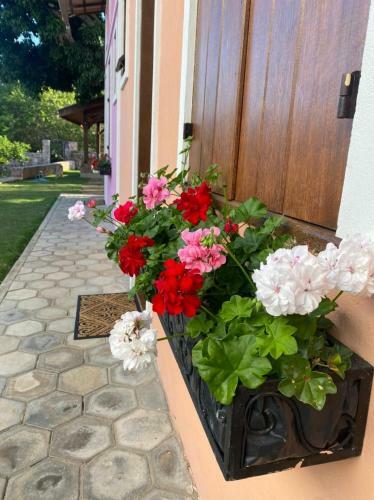 Hostal Villa Santo Antonio - Mucug�