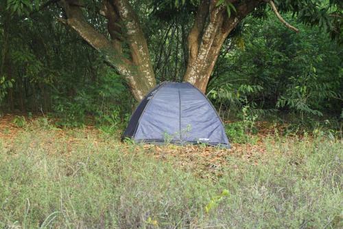 Terra Joulle Centre Lagoa Bomfim