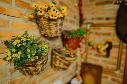 Casa De S�tio Taipa