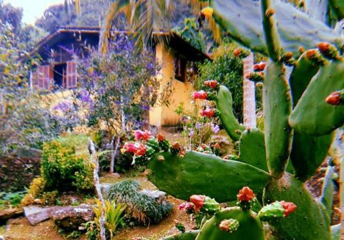 Cheerful 2 Bedroom Home In The Atlantic Forest