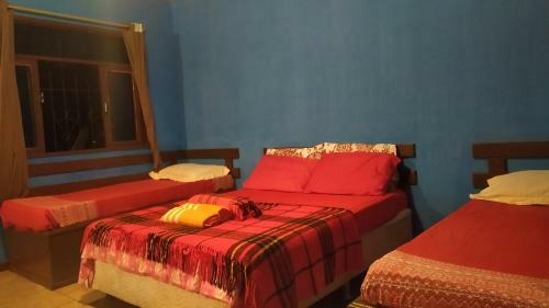 Hostal Terrazzo Italia