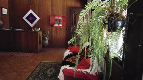 Hostal Terrazzo Italia