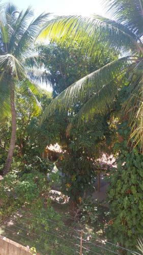 Paradis Des Vents Hostel