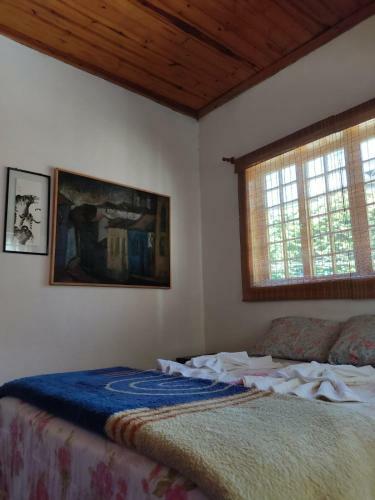 Casa Com Vista Verde