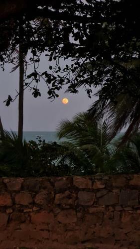 Praia de Pirangi - Apartamento