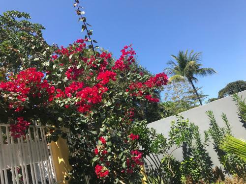 Hostal Pousada Flor Do Arraial