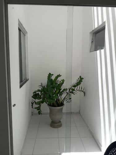 Apartamento Casa Hospedagem Velho Chico