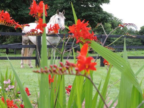 Agroturismo Mount Briscoe Country House