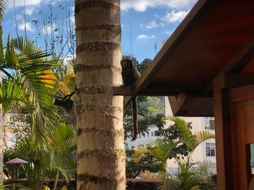 Hotel Pousada Pataca de Prata - Pousada de �poca