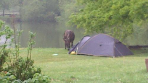 Bed & Breakfast L'autourserie