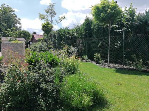 Lev�lke Mini Apartman