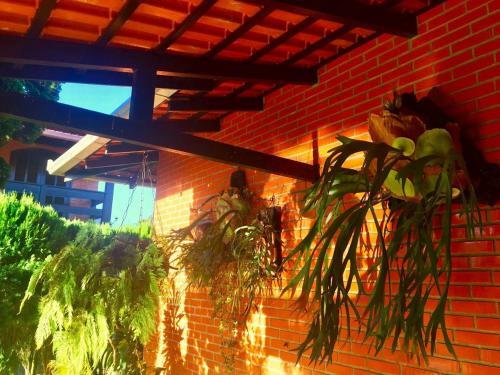 Casa Com Piscina Em Penha/sc - Beto Carrero World