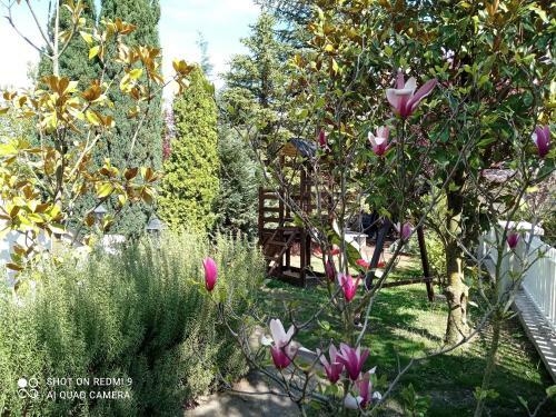 Apartamento Balaton Holiday