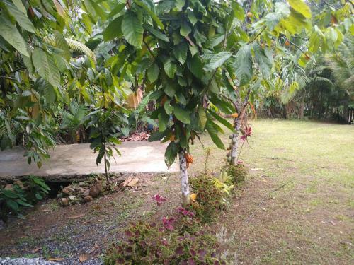 Chal�s Bela Vista