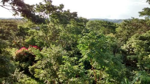 Fazenda Hotel Bem Ecol�gico