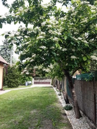 Cs&m Vend�gh�z Gyenesdi�s
