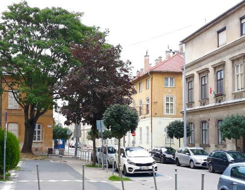Gala Apartment