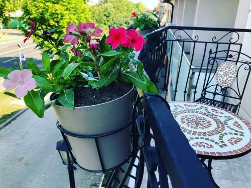 Holiday Apartmanh�z