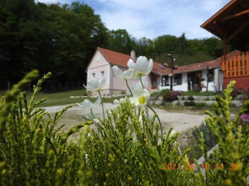 Apartamento Luku Hegyi Pihen?h�z