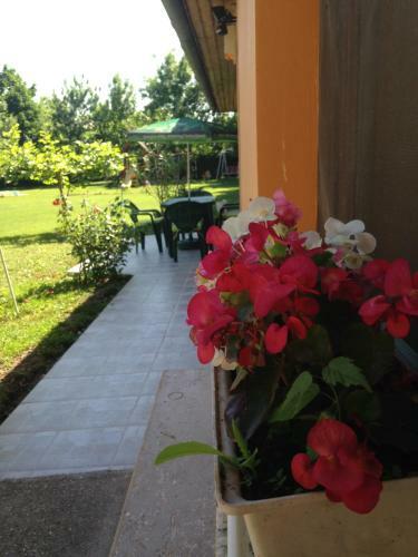 Apartamento Szahara Vend�gh�z
