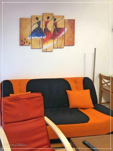 Csi - Pet Apartman