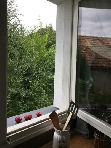�gnes Alm�i �gnes Apples