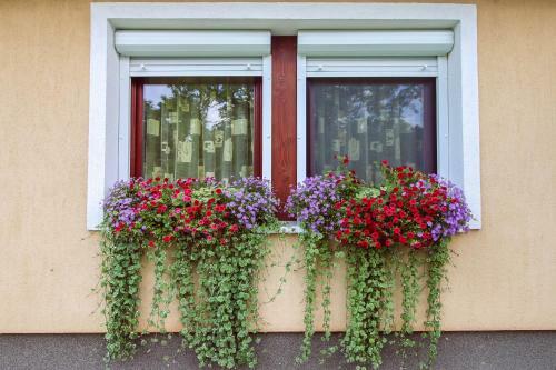 Viharsarki Apartman