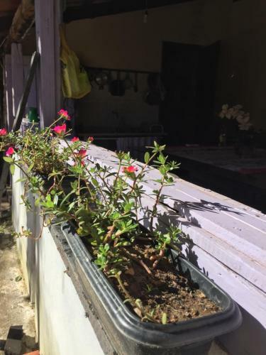 Hostal Casar�o Dom Bispo