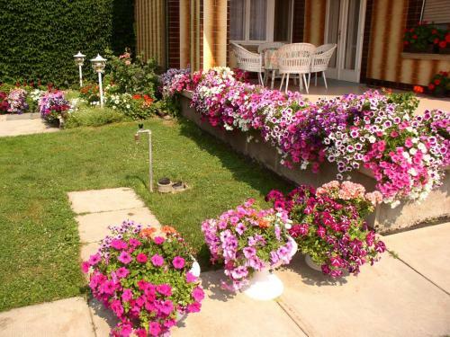 Am�lia Apartman