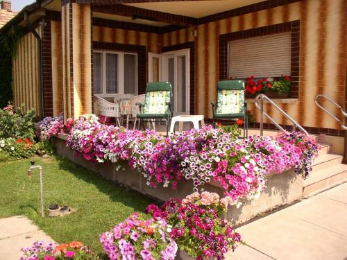 Am�lia Apartman