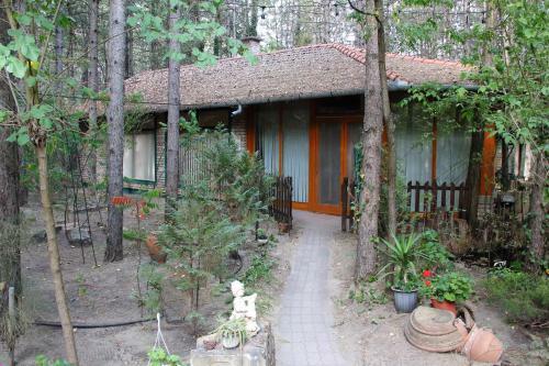 Bed & Breakfast Ambiente