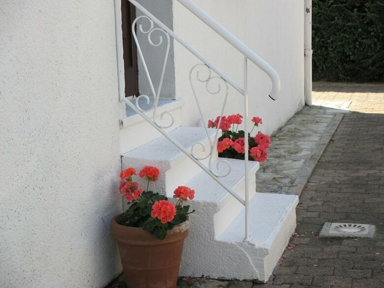 Les Roses De Rita
