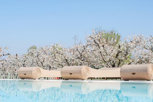 Agroturismo Agriturismo Serena